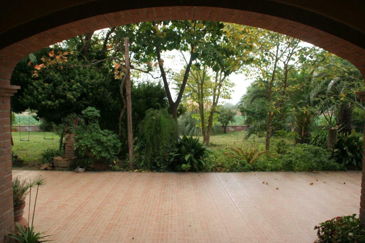 Diciocco Venturina Terme